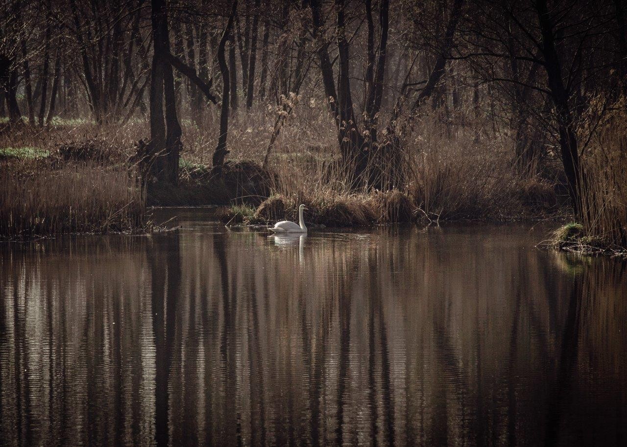 Beata Frąckowska - wyróżnienie fotografia artystyczna djmedia:23