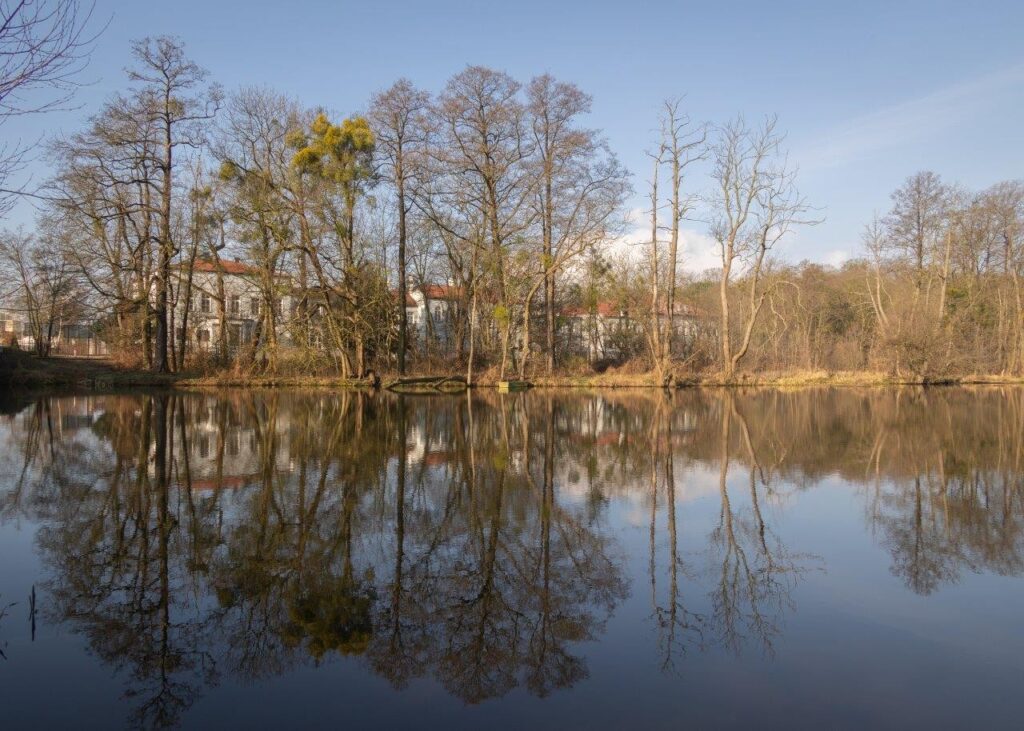 Grudziądz foto BF (2)