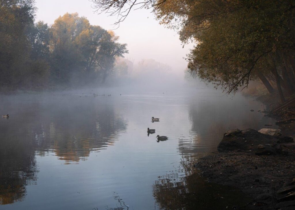 Grudziądz foto BF (3)